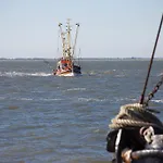 Hotel Strandhotel Direkt An Der Nordsee Mit Restaurant Dagebüll