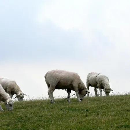 Strandhotel Direkt An Der Nordsee Dagebüll